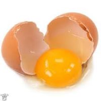 egg