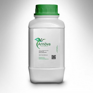 Transglutaminase-TG-H