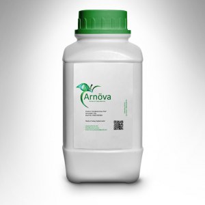 Transglutaminase-TG-P